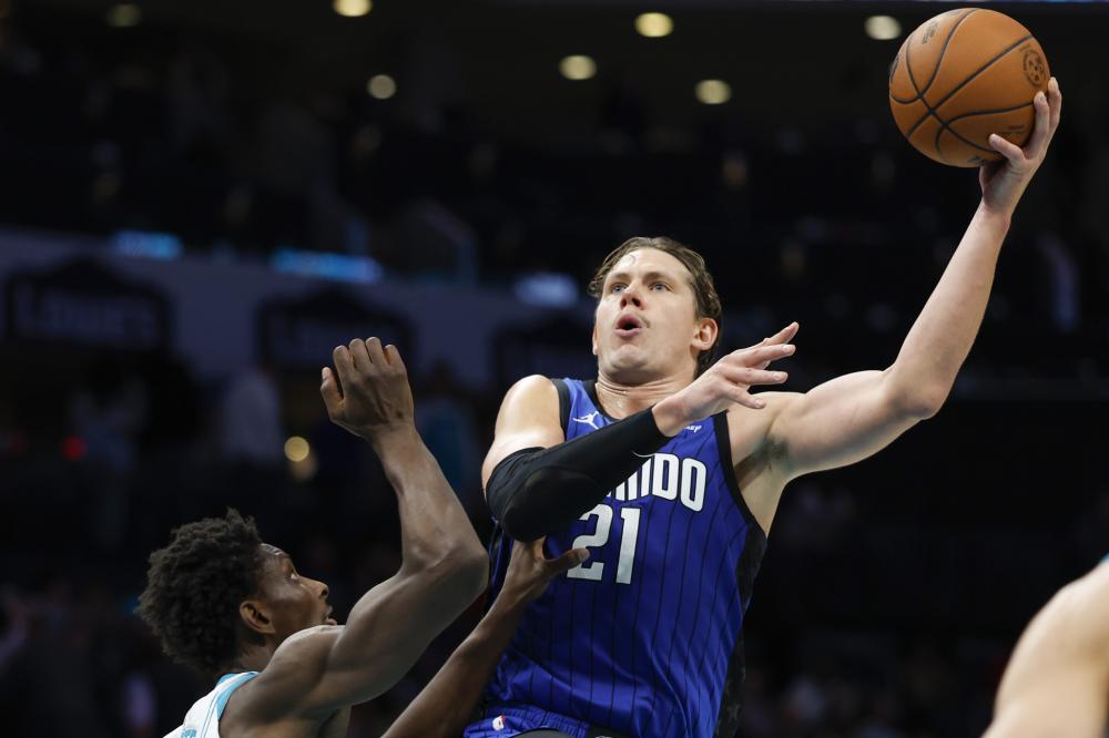 在这篇文章 在这篇文章